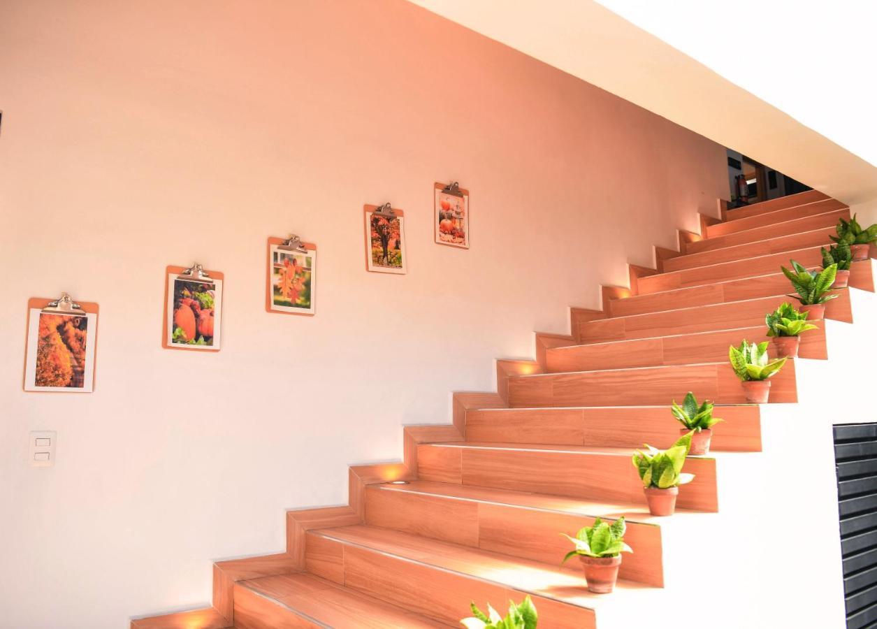 Kaleo Hotel Boutique Σαν Σαλβαντόρ Εξωτερικό φωτογραφία